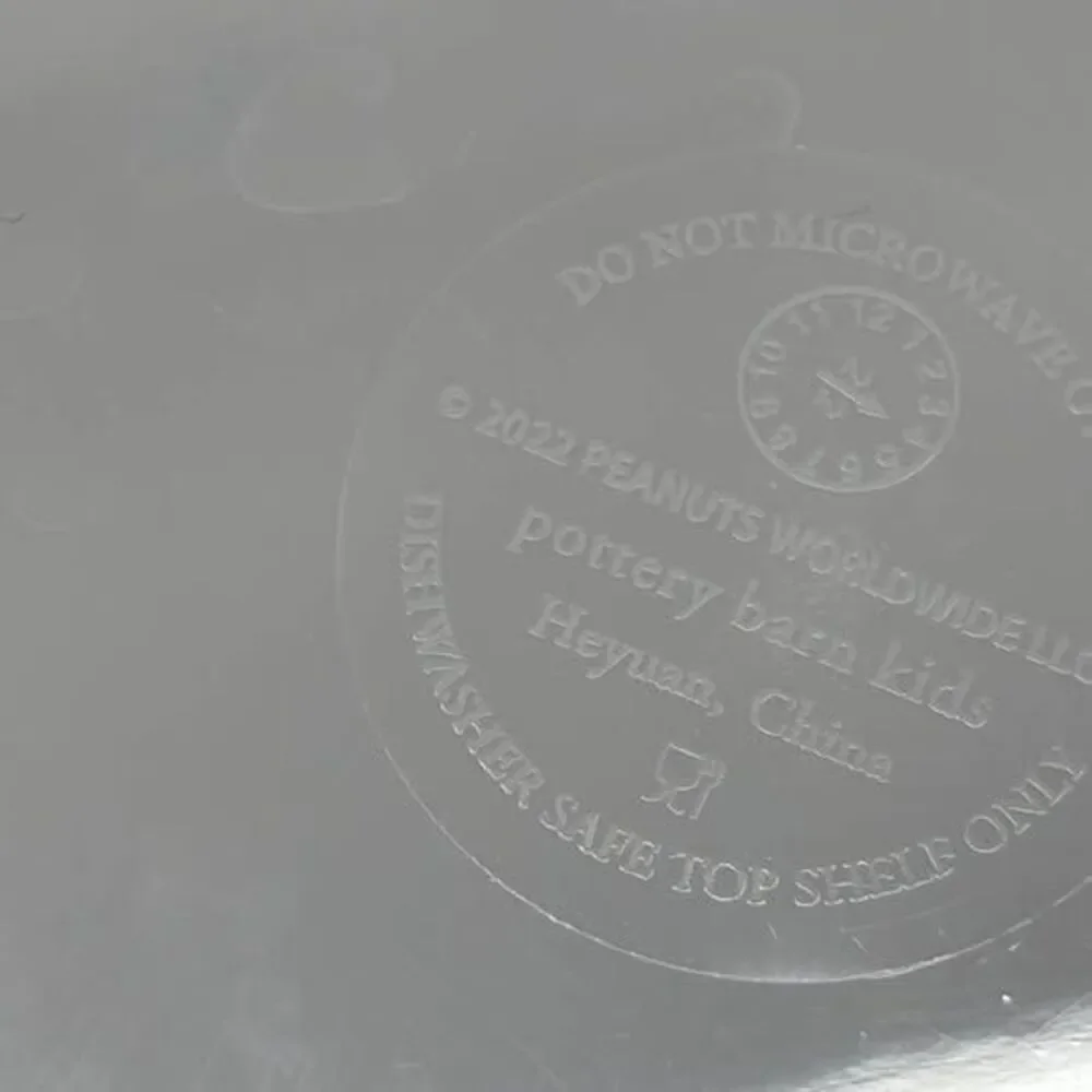 Pottery Barn Peanuts Snoopy Halloween Plate and Bowl 4 set (8 total) Melamine